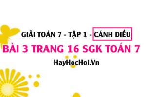 Giải bài 3 trang 16 Toán 7 Tập 1 SGK Cánh Diều